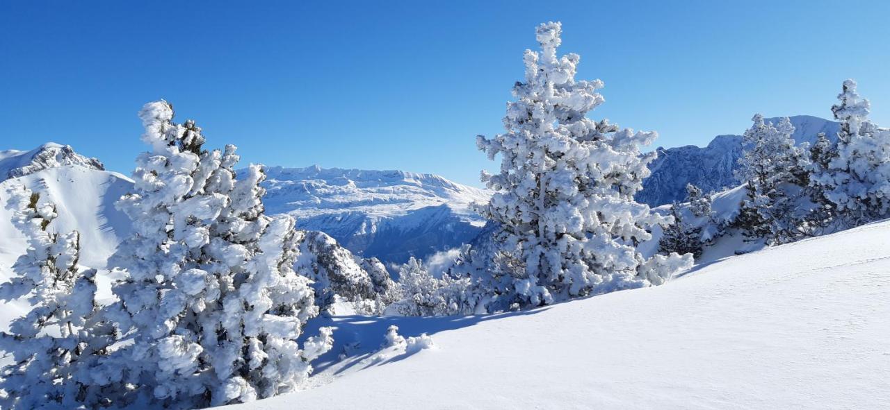 Studio Aux Pieds Des Pistes Roche Beranger Шамрусс Экстерьер фото